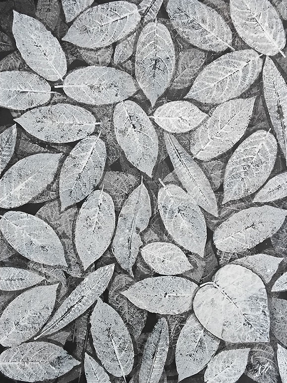 https://oysterartgalleries.com/images/ProductImages/6510-18x24.jpg